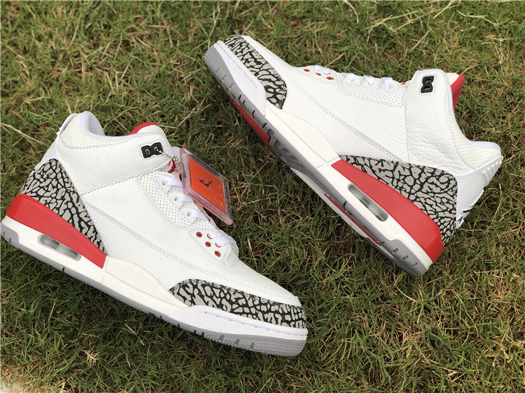 Jordan 3 - Hall of Fame