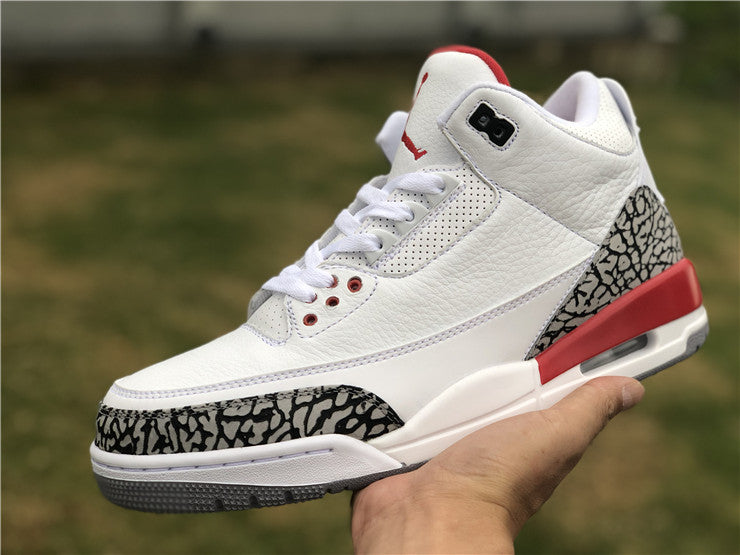 Jordan 3 - Hall of Fame