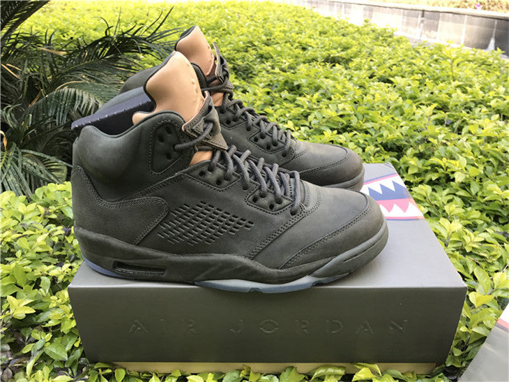 Jordan 5 - Take Flight