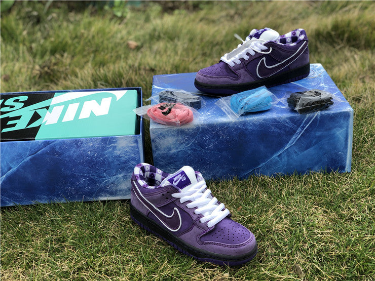 Nike SB Dunk Low - Purple Lobster