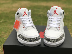 Jordan 3 - Hall of Fame