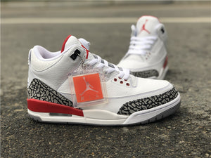 Jordan 3 - Hall of Fame