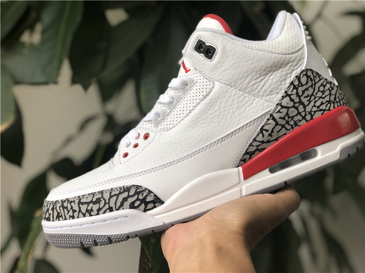 Jordan 3 - Hall of Fame