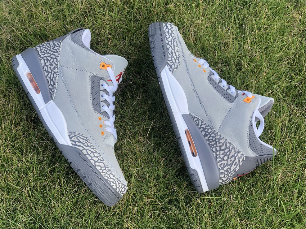 Jordan 3 - Cool Grey