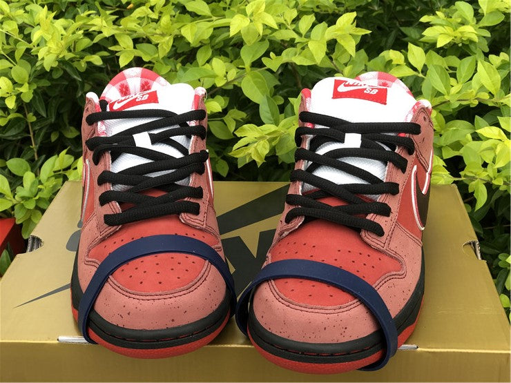 Nike SB Dunk Low - Red Lobster