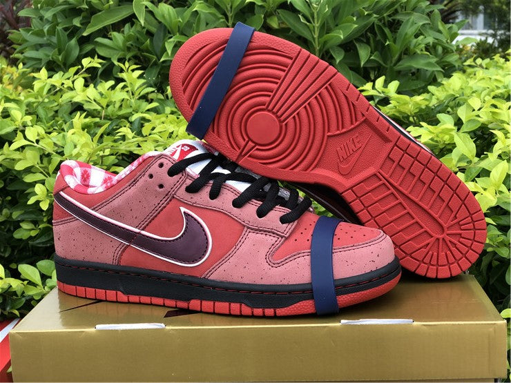 Nike SB Dunk Low - Red Lobster