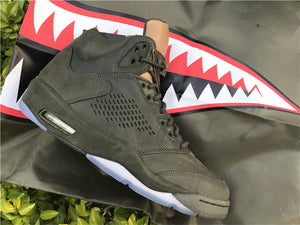 Jordan 5 - Take Flight