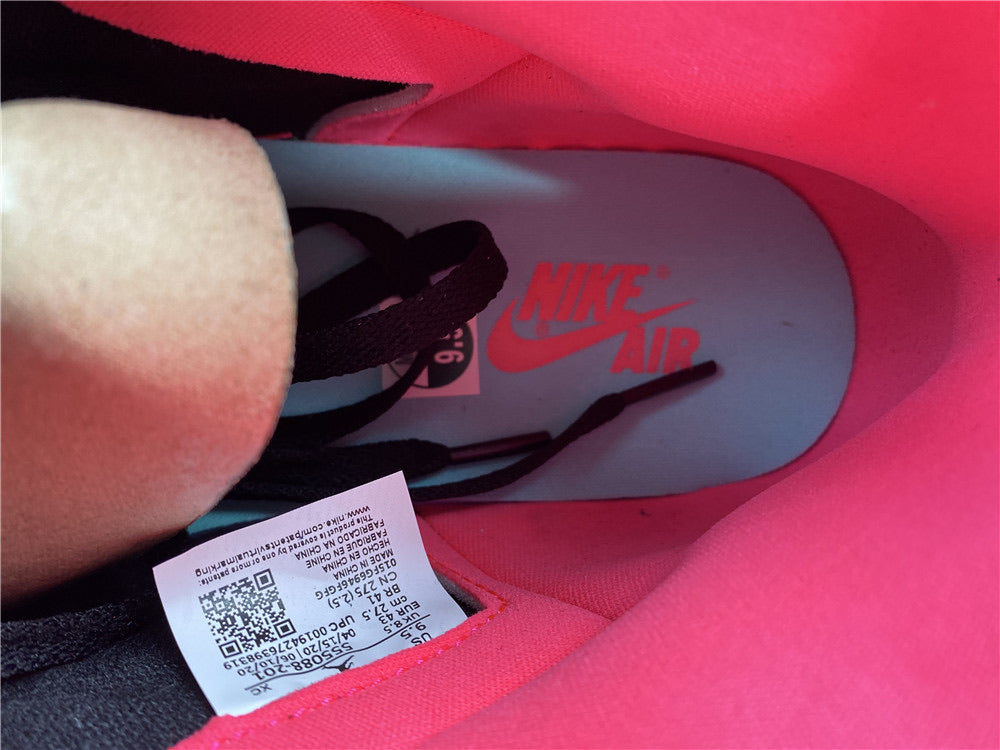 Jordan 1 High Bio-Hacks